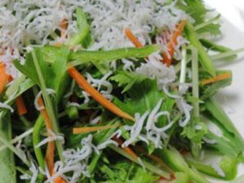 切るだけ簡単♪水菜としらすの生野菜サラダ
